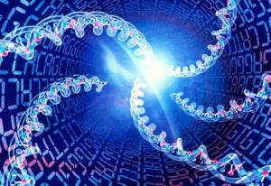 Молекула жизни и генетический код