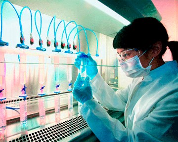 Одобрены первые в мире испытания по пересадке органов из стволовых клеток