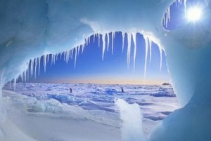 арктические льды