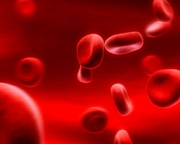 старение клеток крови