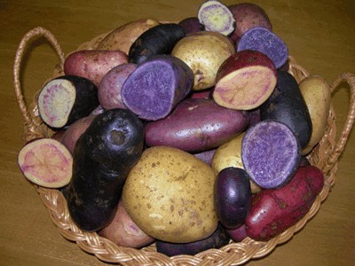разноцветный картофель