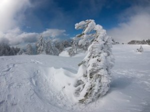 аномальные морозы