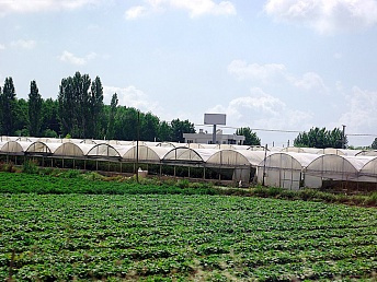 сельхозпродукция
