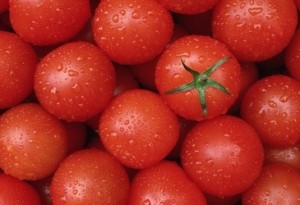 Pomidoryi