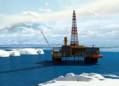 Арктические нефтегазовые участки