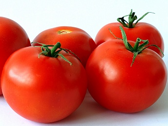 pomidoryi