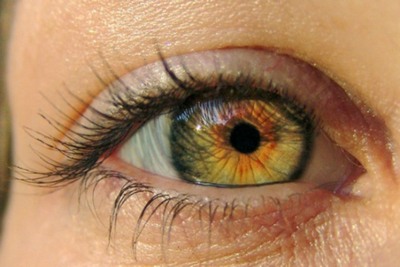 цвет глаз