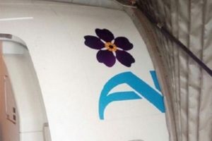 авиакомпании Armenia