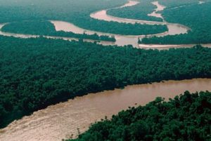 Бассейн Амазонки